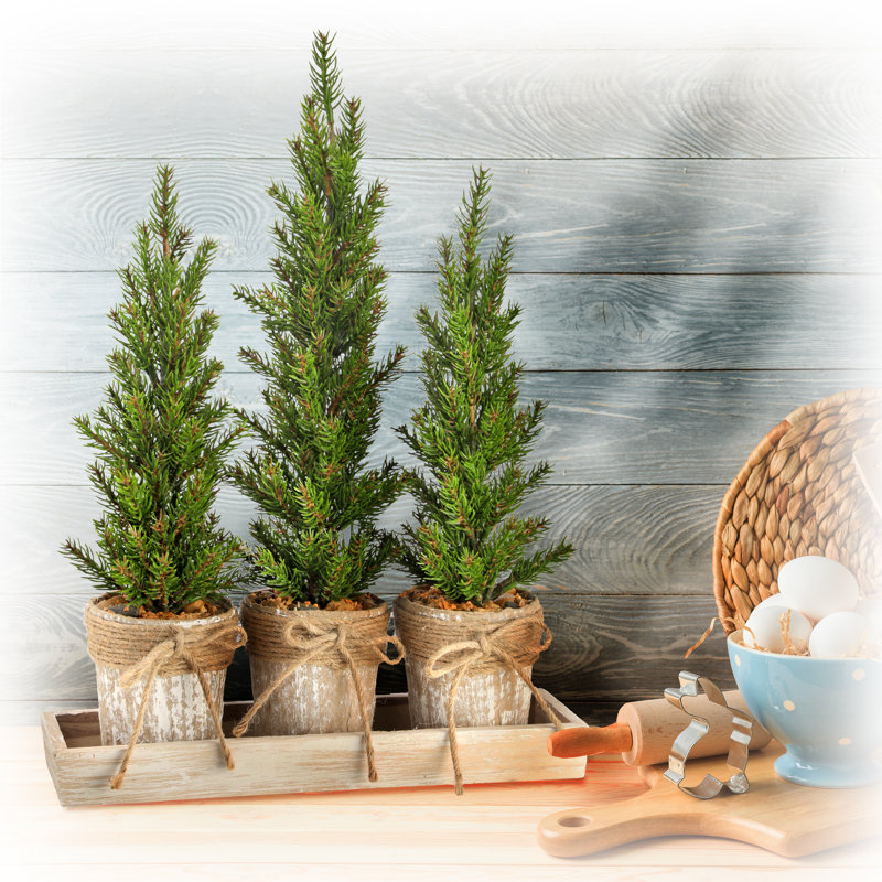 Primrue 3 Artificial Pine Tree in Pot Set Wayfair